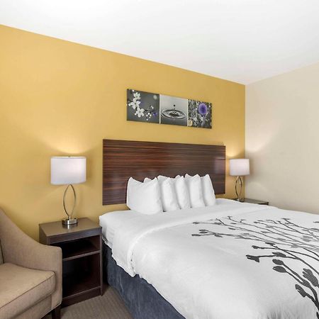 Sleep Inn North - Central 요크 외부 사진